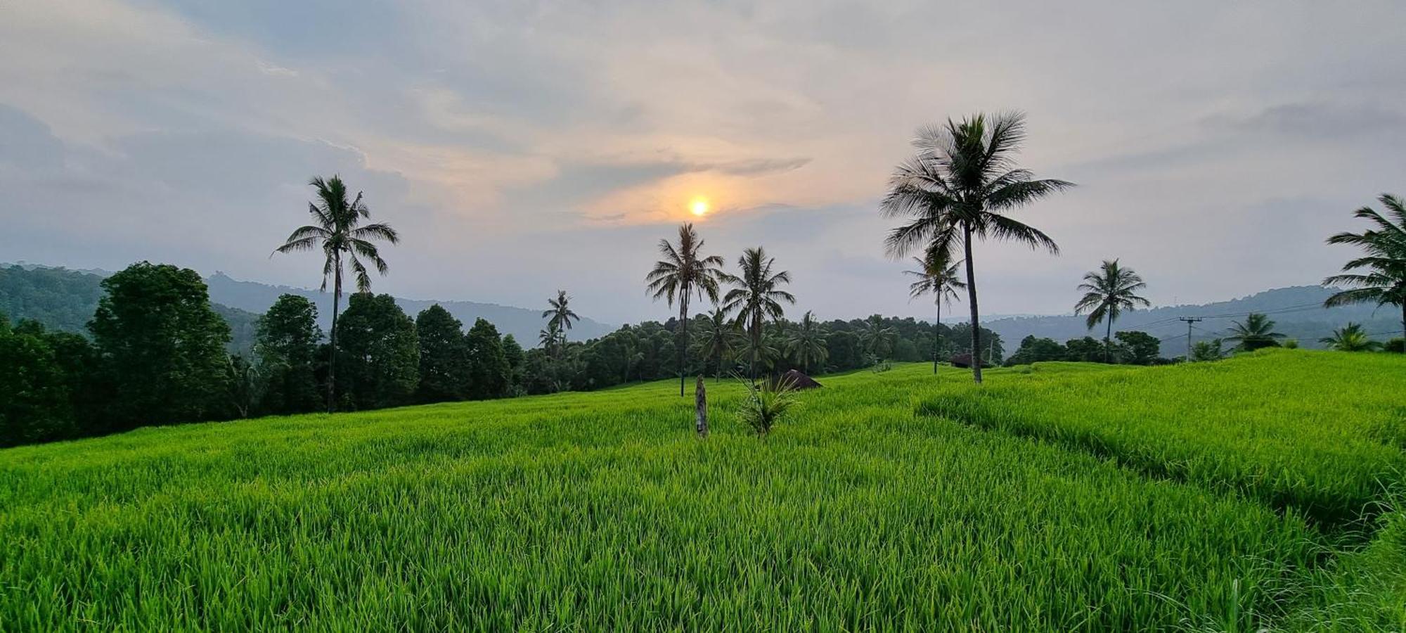 Utopiaku - Munduk Highlands Villa Eksteriør bilde