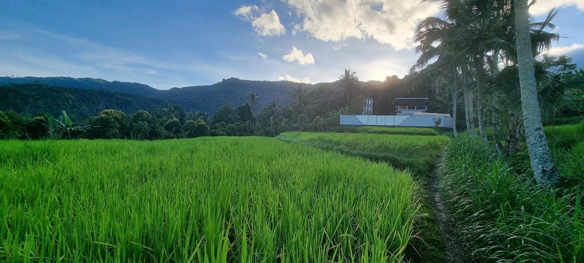 Utopiaku - Munduk Highlands Villa Eksteriør bilde