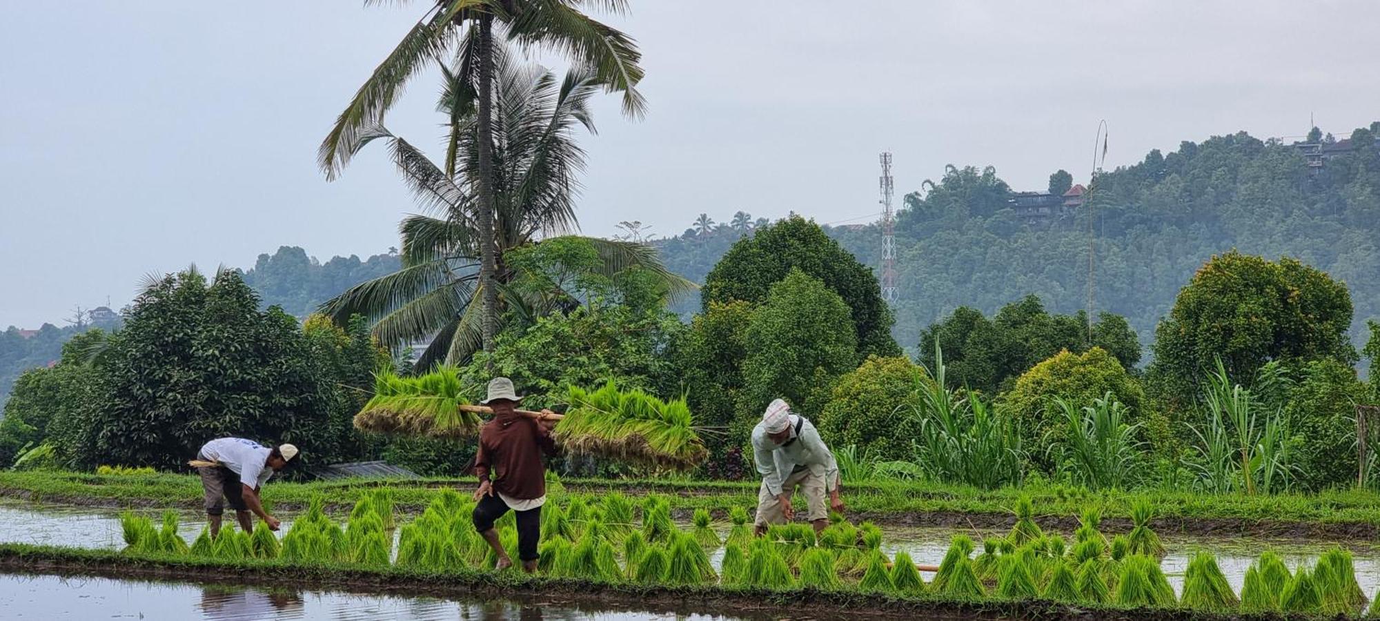 Utopiaku - Munduk Highlands Villa Eksteriør bilde