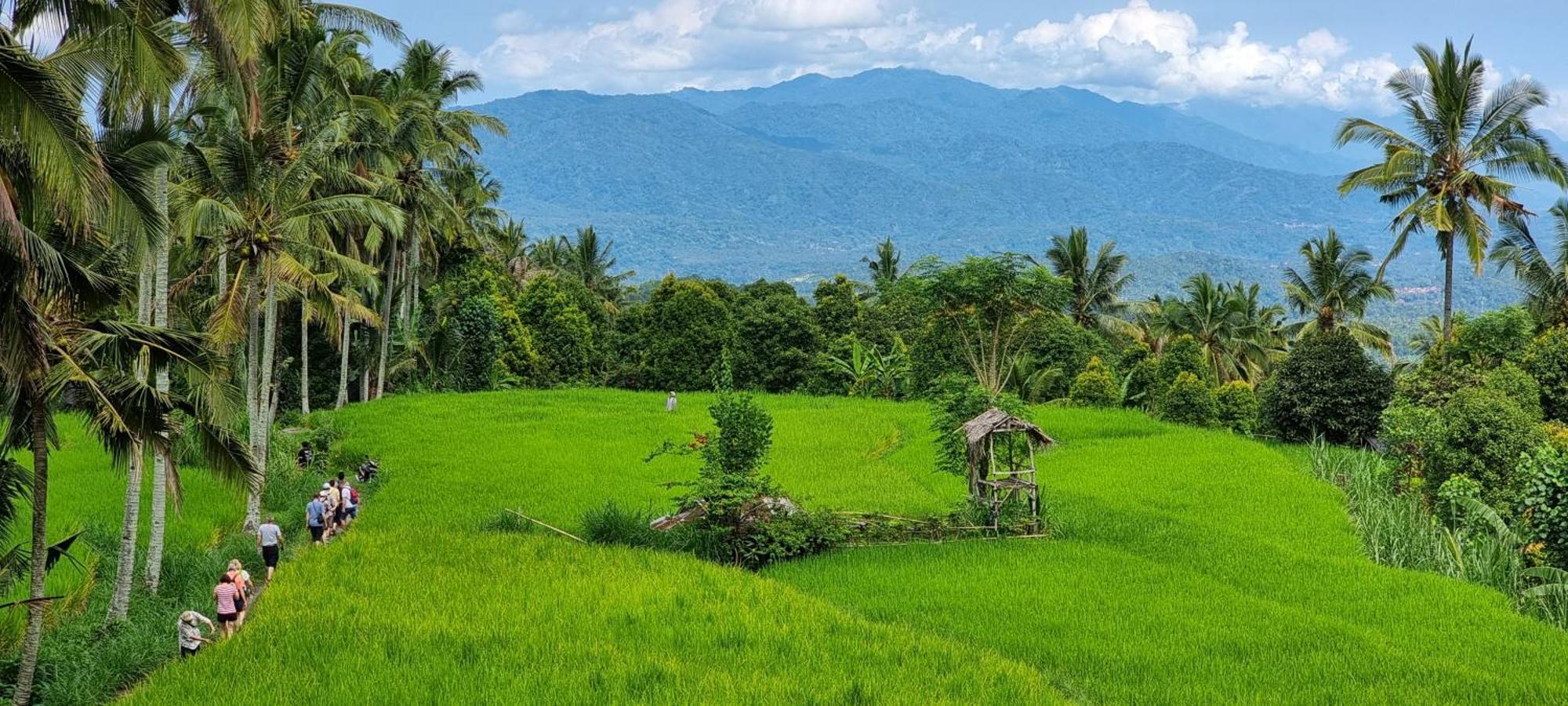 Utopiaku - Munduk Highlands Villa Eksteriør bilde